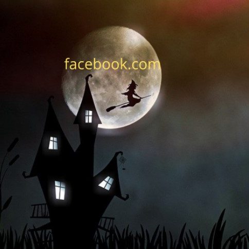 Halloween FB - concept