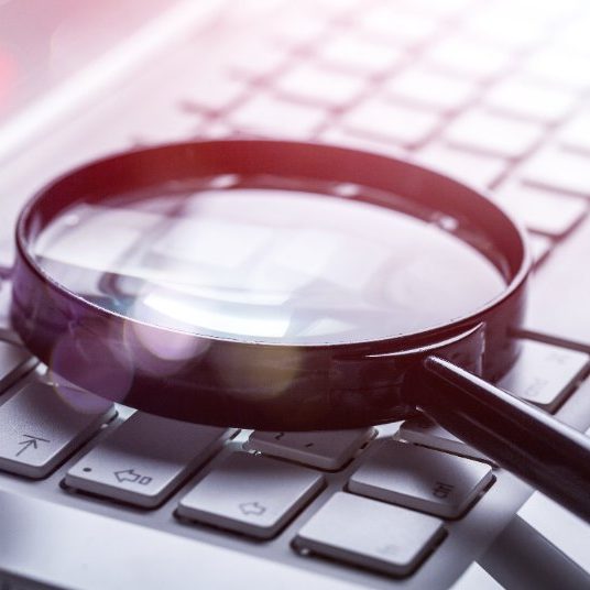 seo services florida