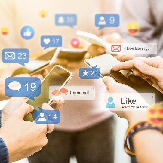 search engine optimization florida