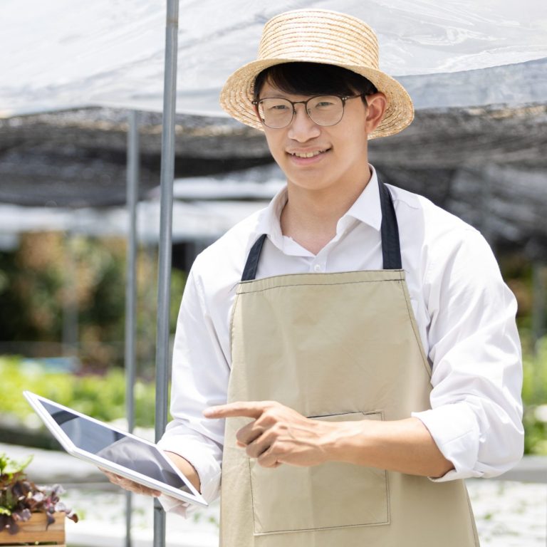 search engine optimization florida